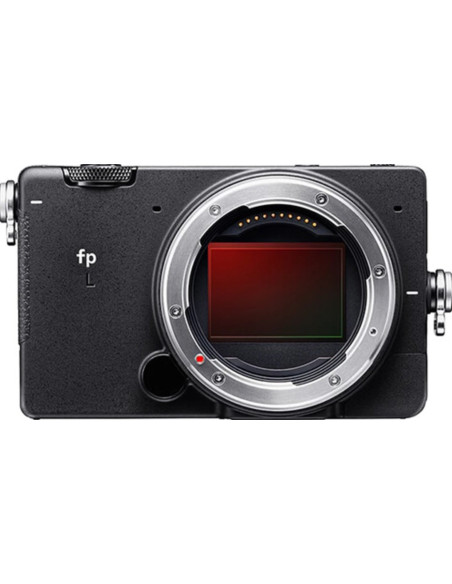 FP L BODY